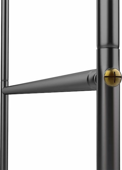 Arcadă Metalică de Grădină pentru Flori Cățărătoare 240x140x37cm