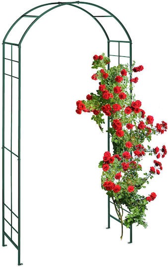 Arcadă Metalică de Grădină pentru Flori Cățărătoare Verde Dimensiuni 224 X 110 X 41 Cm Relaxdays
