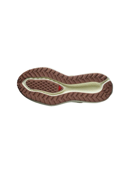 Aero Glide 3 Grvl Bărbați Pantofi sport Alergare Green Haze / Vanilla Ice / Russet