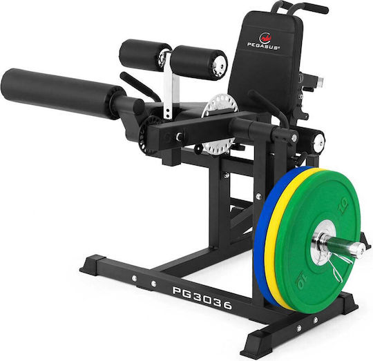 Pegasus PG‑3036 Bauch-/Rückenmaschine ohne Gewichte