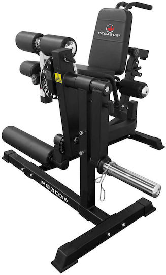 Pegasus PG‑3036 Bauch-/Rückenmaschine ohne Gewichte