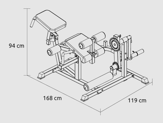 Pegasus PG‑3036 Bauch-/Rückenmaschine ohne Gewichte