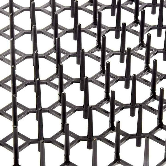 Ακίδες Απώθησης Γατών / Πουλιών 0.5x0.3m