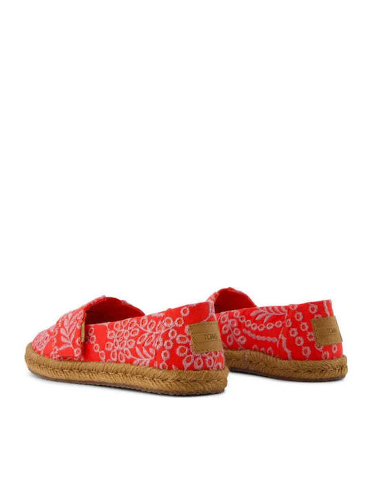 Toms
