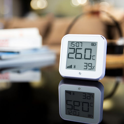 Shelly Digital Thermometer