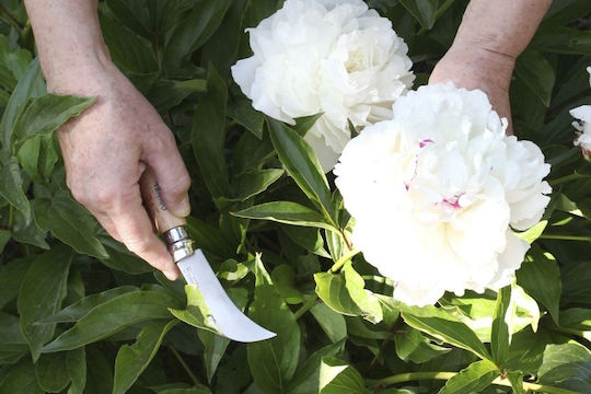 Opinel Νο.08 Garden Σουγιάς