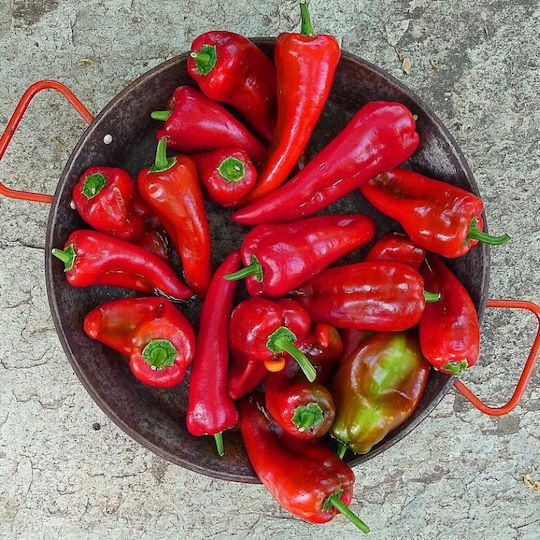 Εκλεκτή Κουζίνα Πιπεριές 450gr