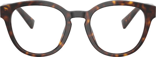 Dolce & Gabbana 3421 502