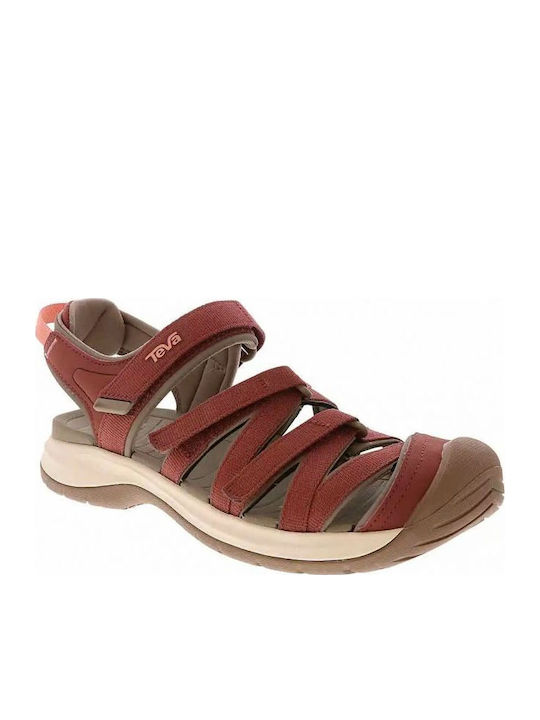 Teva