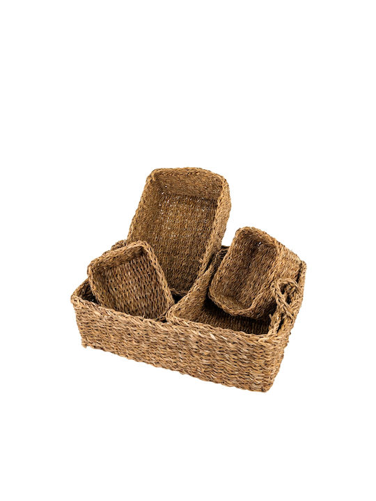 BD2000190 Rattan BD2000190 Rattan