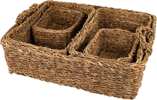 Σετ Διακοσμητικά Καλάθια Rattan με Χερούλια Καφέ 40εκ. 5τμχ