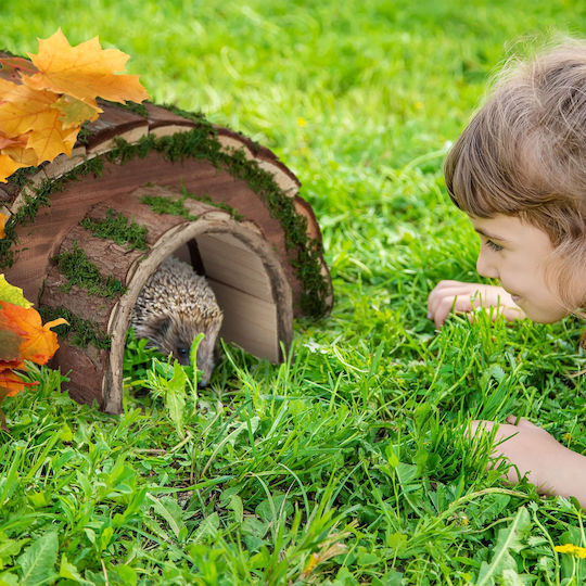 Wooden Hedgehog House 20 x 40 x 42 Cm