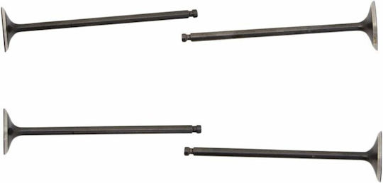 Naraku Intake Exhaust Valve Set Nk600.83 Yamaha Yp R 06-16 Beta Rr Lc Rieju Rs3 11-17 125 Abs Fantic M 18-20