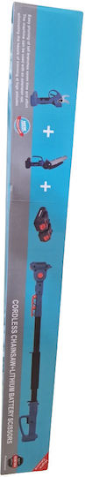 2410212312211 Set Kettensäge & Baumschere 21V mit 2 Batterien