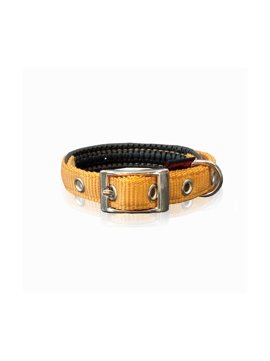 Pet Interest Neoprene Standard