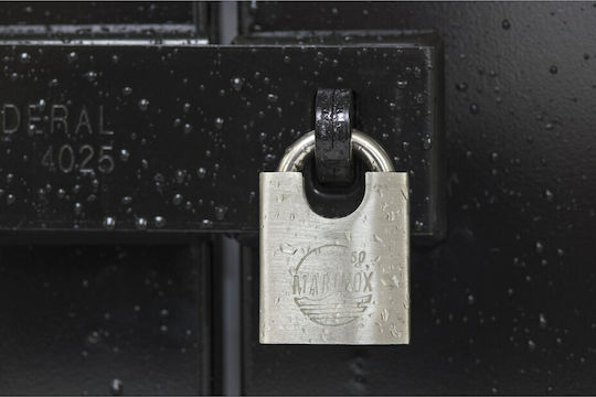Thirard Steel Padlock Brass with Key 50mm 1pcs