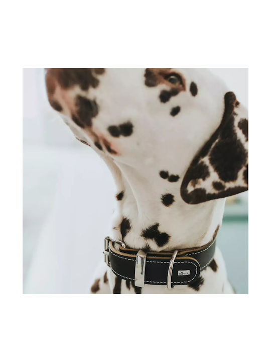 Hunter Aalborg Special 35 Hundehalsband Leder Klein / Mittel / XXSmall / Groß / XSklein 30cm Hunter Aalborg Special 35 Hundehalsband Leder Klein / Mittel / XXSmall / Groß / XSklein 30cm