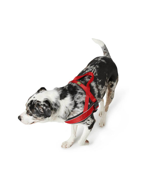 Hunter Harness Racing XL Red