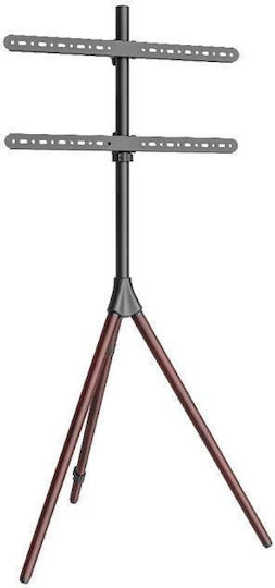 Focus Mount TT164 Wall TV Mount up to 40kg