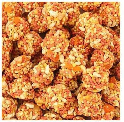 Lafeber Classic Nutriberries Small-medium Parrots 284gr