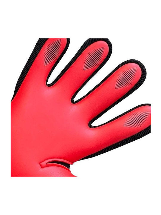 4Keepers Torwarthandschuhe Erwachsene Schwarz