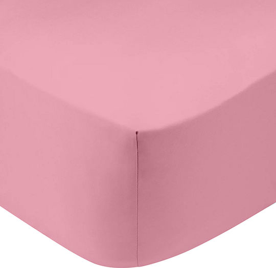 Sunshine Sheet Super-Double with Elastic 160x200+30cm. Cotton Feelings 151 Lila 102