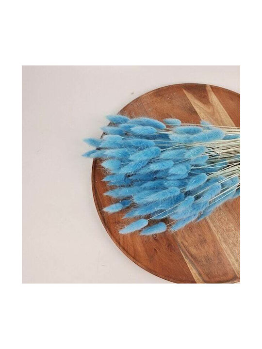 Lagurus Αποξηραμενα Bunny Tails 100 Gr Γαλαζιο