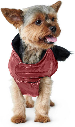 Hunter Black Dog Coat with 40cm Back Length
