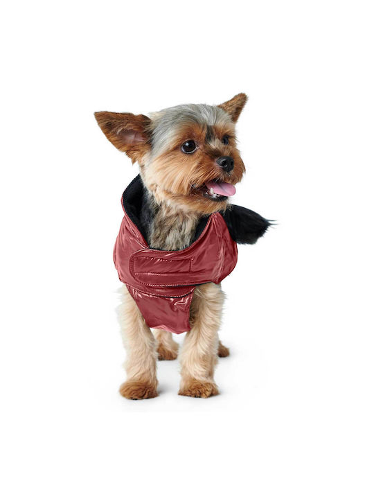 Hunter Black Dog Coat with 45cm Back Length