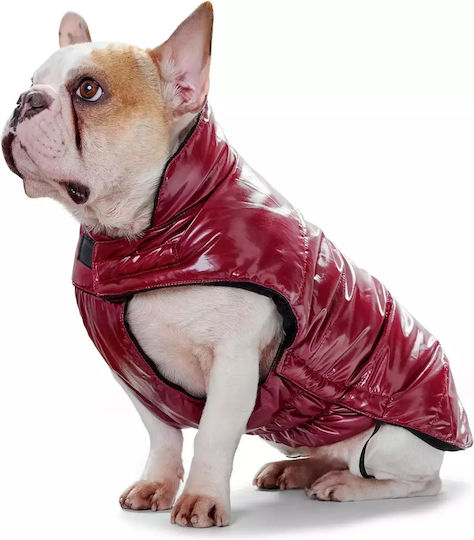 Hunter Black Dog Coat with 40cm Back Length