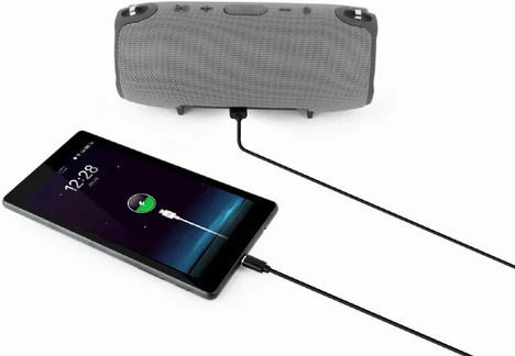 Gembird SPK-BT-06 Bluetooth Speaker 10W with Radio and Battery Life up to 9 hours Gray