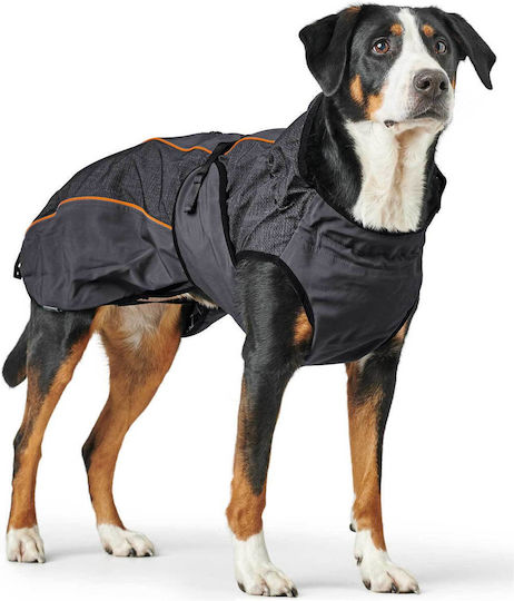 Hunter Haine pentru câini Impermeabil / Antivant cu Lungimea Spateului 40 cm