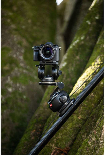 SYRP Glisieră 9421032390807