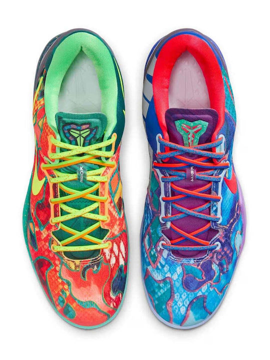 Kobe 8 Protro Low Basketball Shoes Multicolour