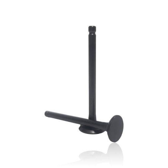 Motorcycle Intake & Exhaust Valves Piaggio ZIP