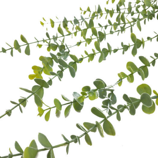 Artificial Decorative Branch Eucalyptus Green 55cm Home & Camp