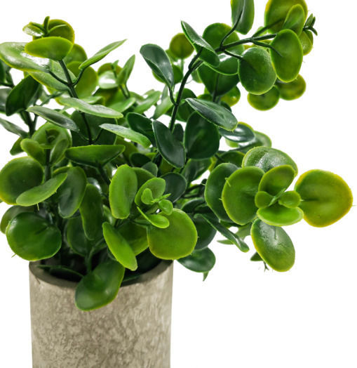 Plantă Artificială în Ghiveci Mic Green 25cm Home & Camp