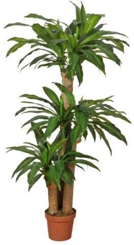 Изкуствено дърво за външно пространство Dracaena Green 145см Gardin