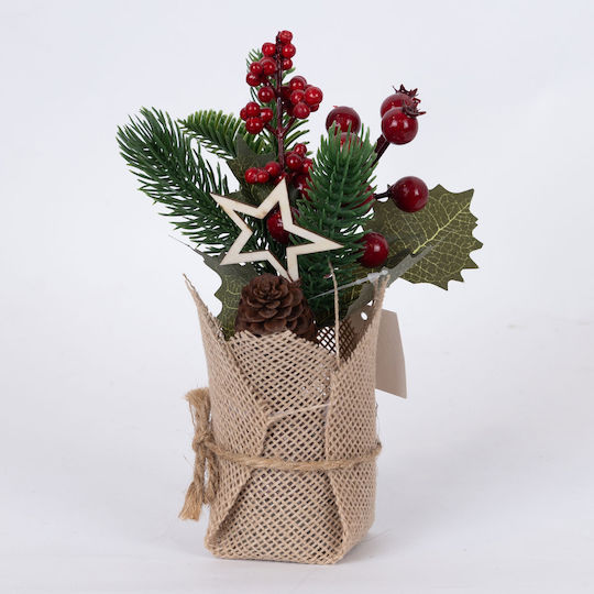 Display Box Γλαστρακι Αστερακι Κοκκινα Berries 12tmx 22cm Display Box Γλαστρακι Αστερακι Κοκκινα Berries 12tmx 22cm