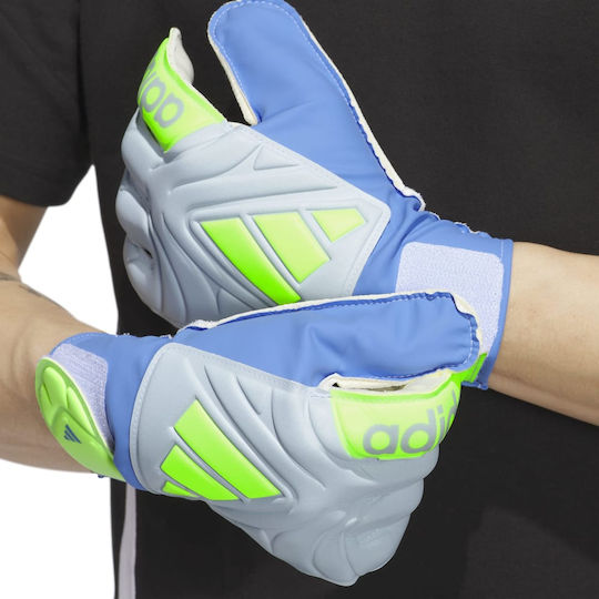 adidas Copa Adults Goalkeeper Gloves Blue