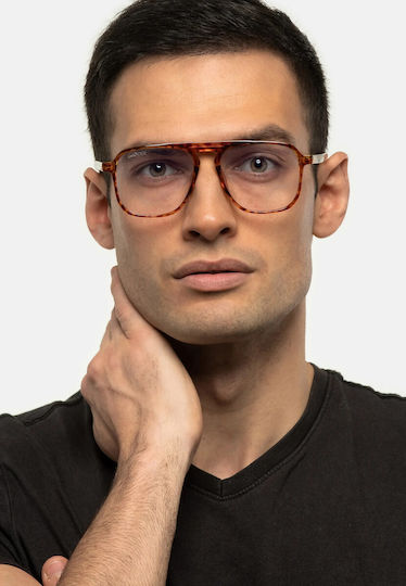 Kalispel Classy Tortoise