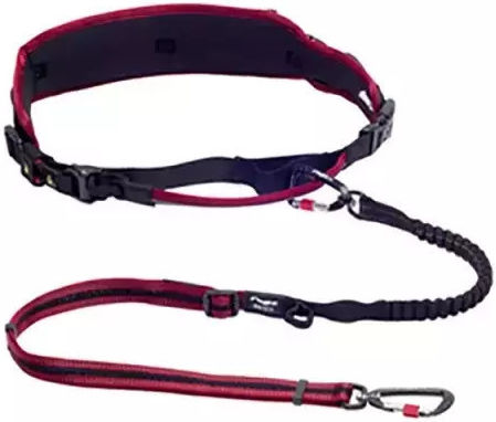 Rogz Dog Leash/Lead Strap Medium in Red color