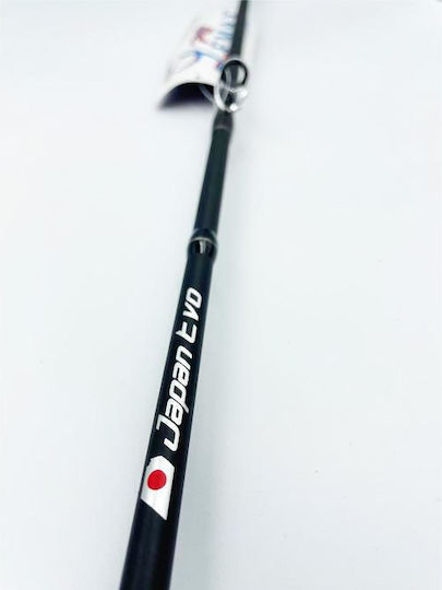 Lemax Japan Evo Καλάμι Ψαρέματος για Jigging 1.9m 150gr