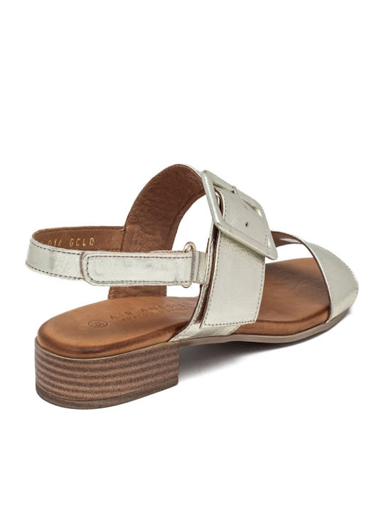 Leather Sandals Anatomic Gold