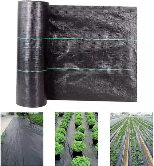 Ground Cover Fabric 100g/m² Ground Cover Fabric 100g/m²