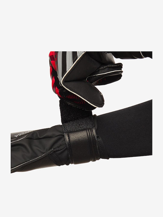 adidas Predator Training Torwarthandschuhe Erwachsene Schwarz