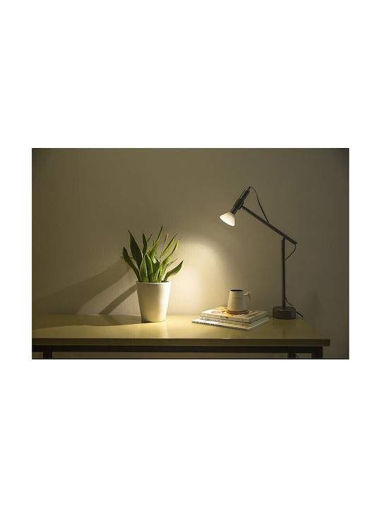 Allocacoc Flashlight Rechargeable LED Office Lamp in Gray Color