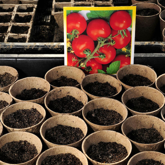 Set 120 Biodegradable Pots 7.5 X 8 Cm Relaxdays