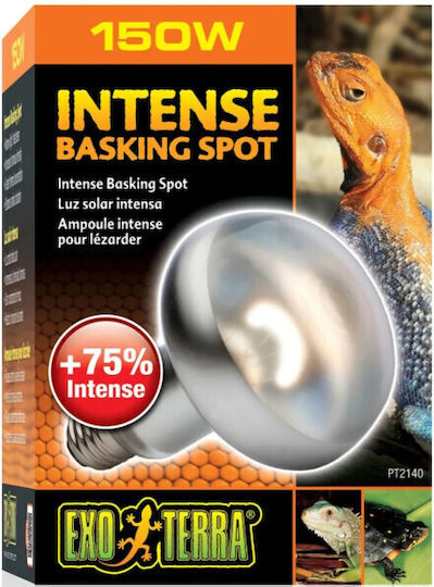 Exo Terra Intense Basking Spot 50W Accessory for Reptiles Terrarium