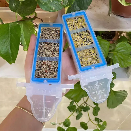 Moldes Ave Alimentator Pentru Canari
